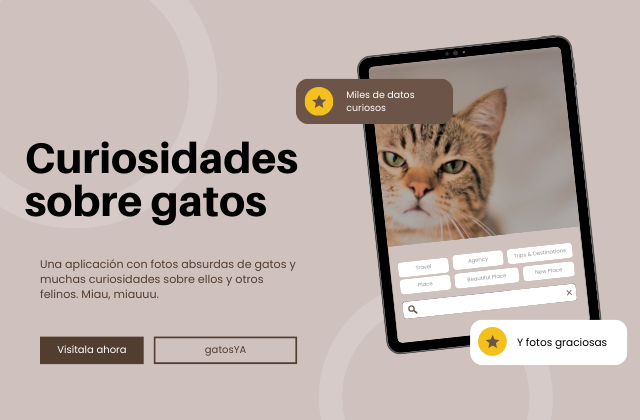 Projects image